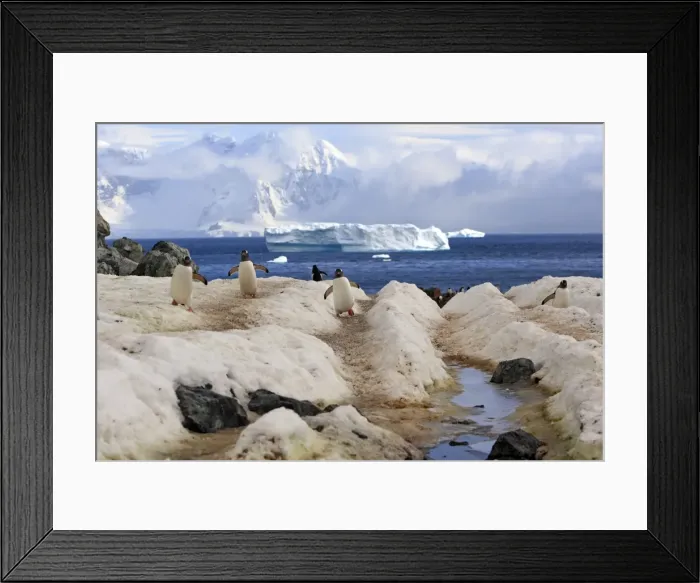Framed Print : Picture No. 10888345 Framed Print : Picture No. 10888345