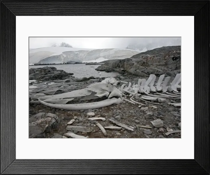 Framed Print : Picture No. 10888368 Framed Print : Picture No. 10888368