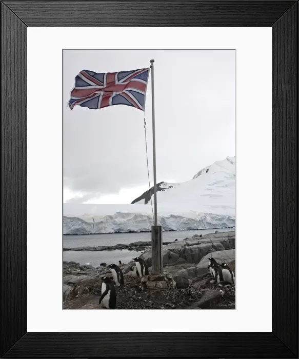 Framed Print : Picture No. 10888378