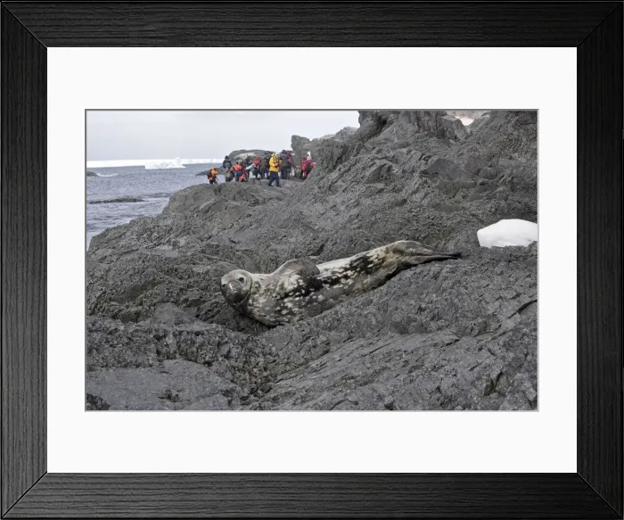 Framed Print : Picture No. 10888389 Framed Print : Picture No. 10888389