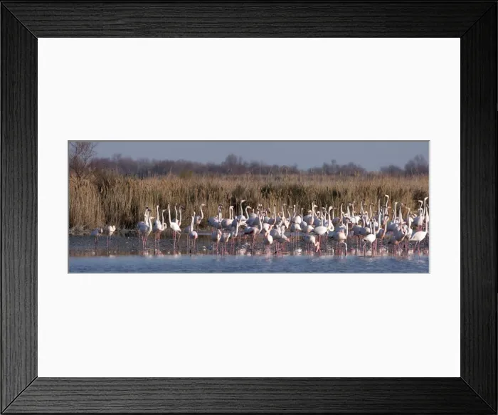 Framed Print : Picture No. 10888413 Framed Print : Picture No. 10888413