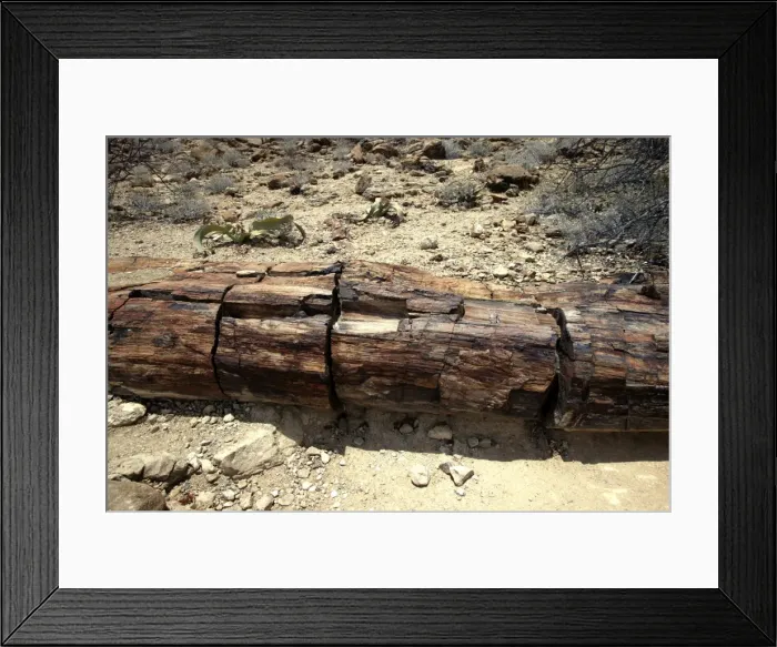 Framed Print : Picture No. 10888401 Framed Print : Picture No. 10888401