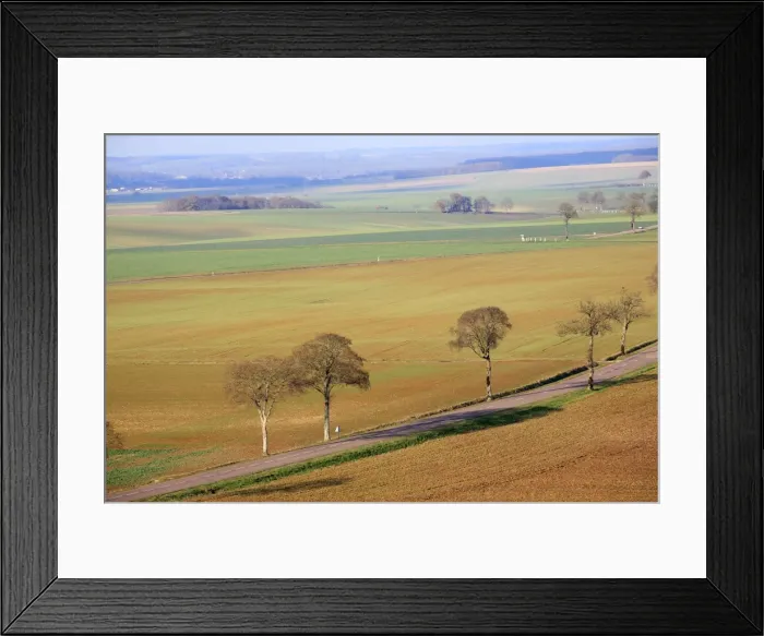 Framed Print : Picture No. 10888436 Framed Print : Picture No. 10888436