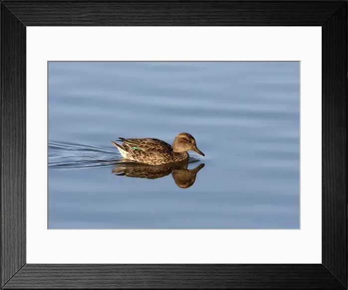Framed Print : Picture No. 10888441 Framed Print : Picture No. 10888441