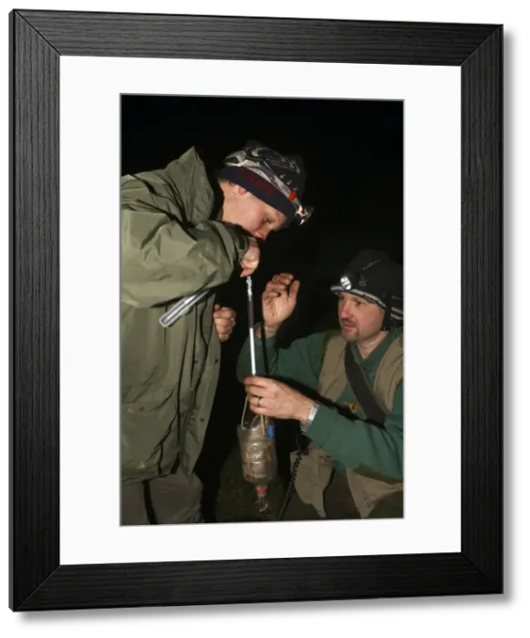 Framed Print : Picture No. 10888500 Framed Print : Picture No. 10888500
