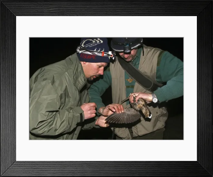 Framed Print : Picture No. 10888501 Framed Print : Picture No. 10888501