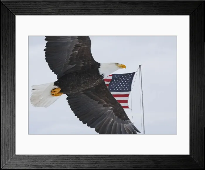 Framed Print : Picture No. 10888538 Framed Print : Picture No. 10888538