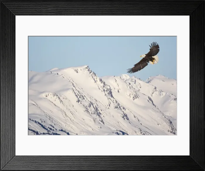 Framed Print : Picture No. 10888550 Framed Print : Picture No. 10888550