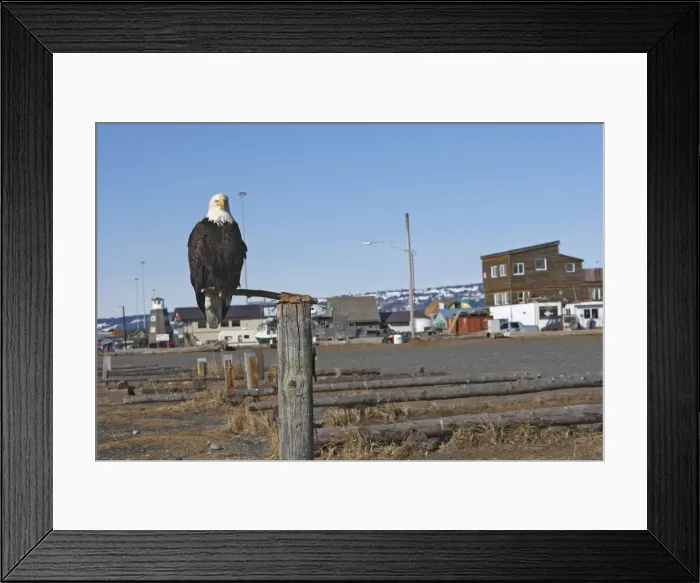 Framed Print : Picture No. 10888553 Framed Print : Picture No. 10888553