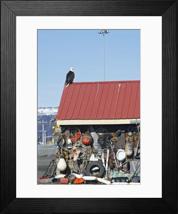 Framed Print : Picture No. 10888552 Framed Print : Picture No. 10888552