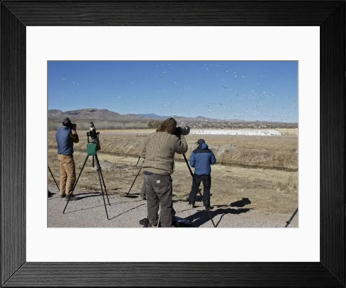 Framed Print : Picture No. 10888699 Framed Print : Picture No. 10888699