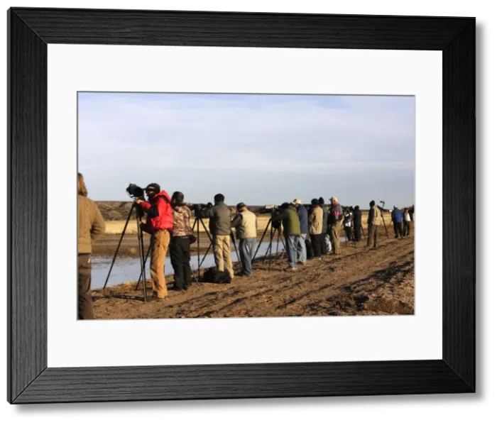 Framed Print : Picture No. 10888696 Framed Print : Picture No. 10888696