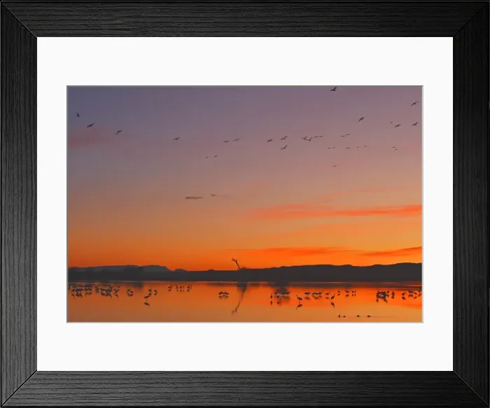 Framed Print : Picture No. 10888710 Framed Print : Picture No. 10888710