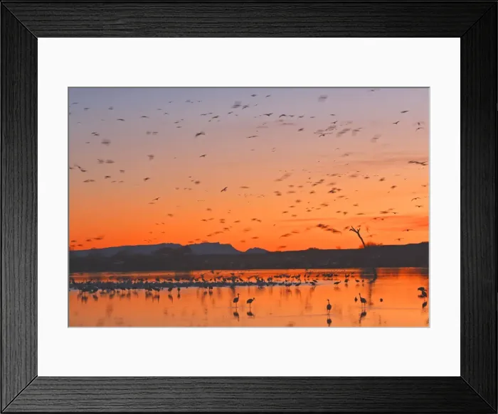 Framed Print : Picture No. 10888711