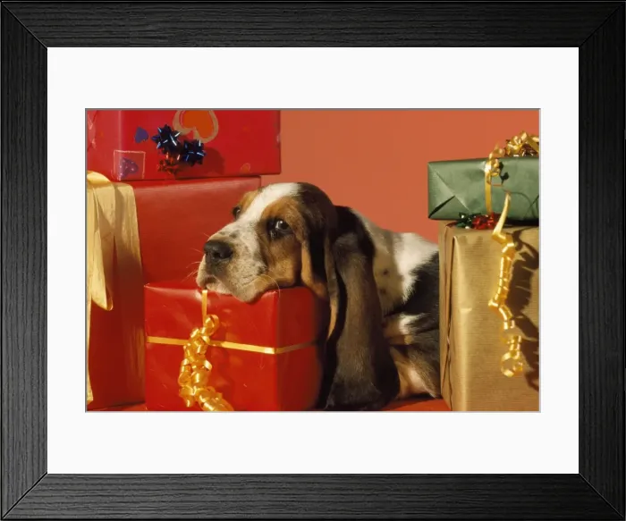 Framed Print : Picture No. 10888726 Framed Print : Picture No. 10888726