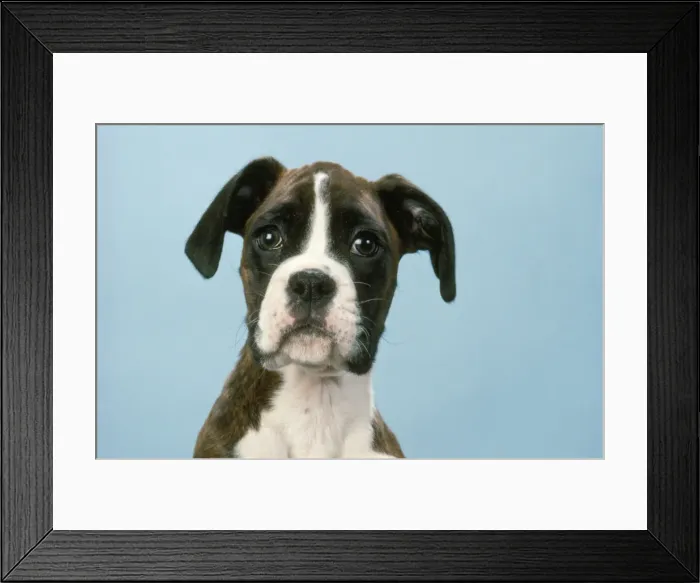 Framed Print : Picture No. 10888725 Framed Print : Picture No. 10888725