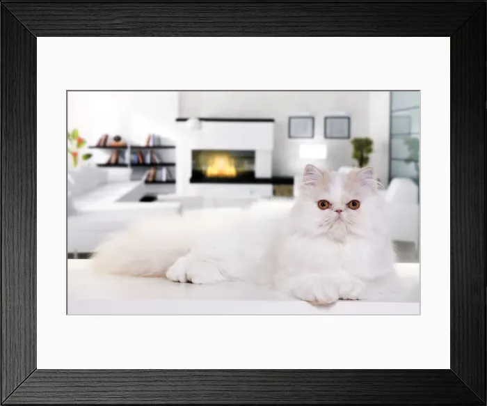 Framed Print : Picture No. 10888769 Framed Print : Picture No. 10888769