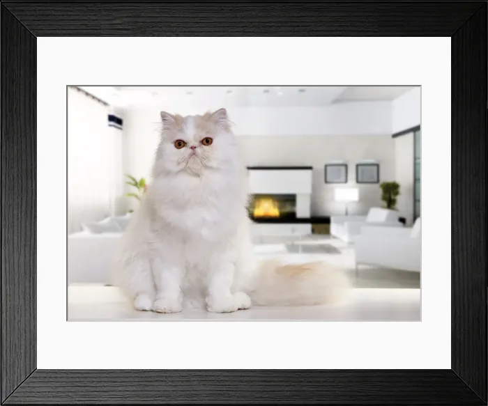 Framed Print : Picture No. 10888768 Framed Print : Picture No. 10888768