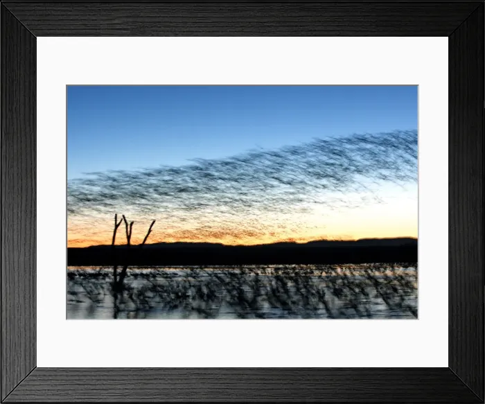Framed Print : Picture No. 10888652 Framed Print : Picture No. 10888652