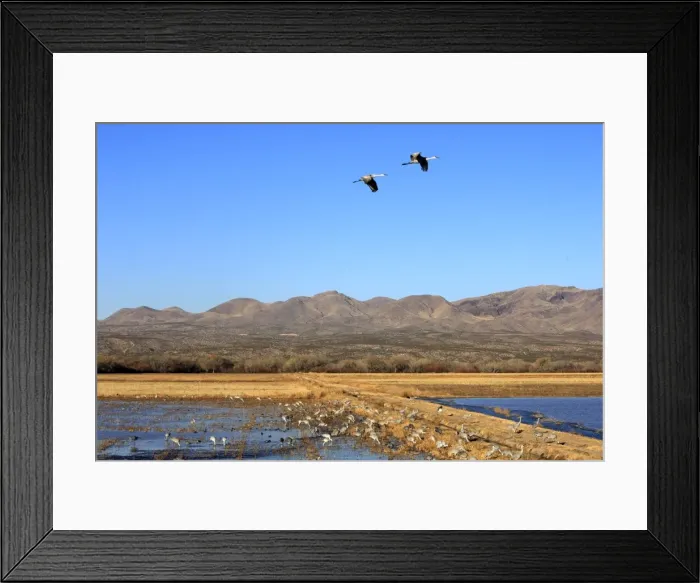 Framed Print : Picture No. 10888669 Framed Print : Picture No. 10888669