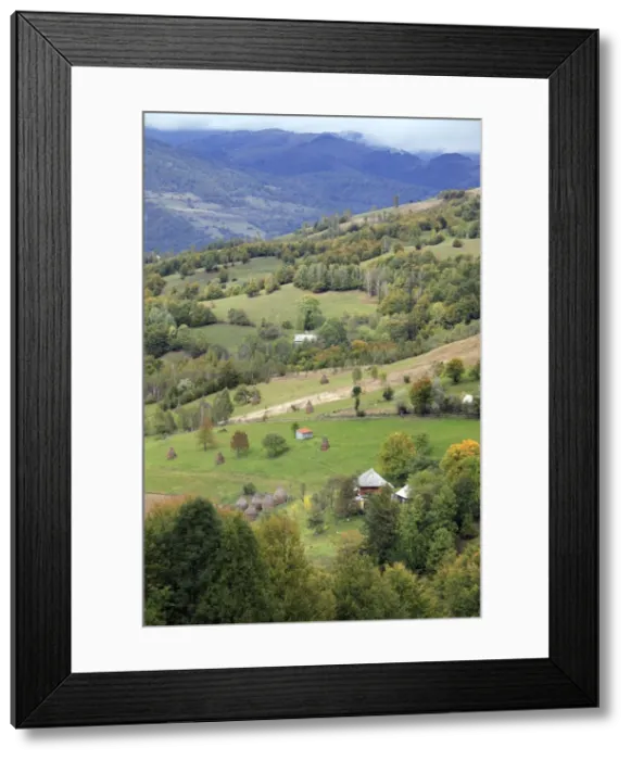 Framed Print : Picture No. 10888450 Framed Print : Picture No. 10888450