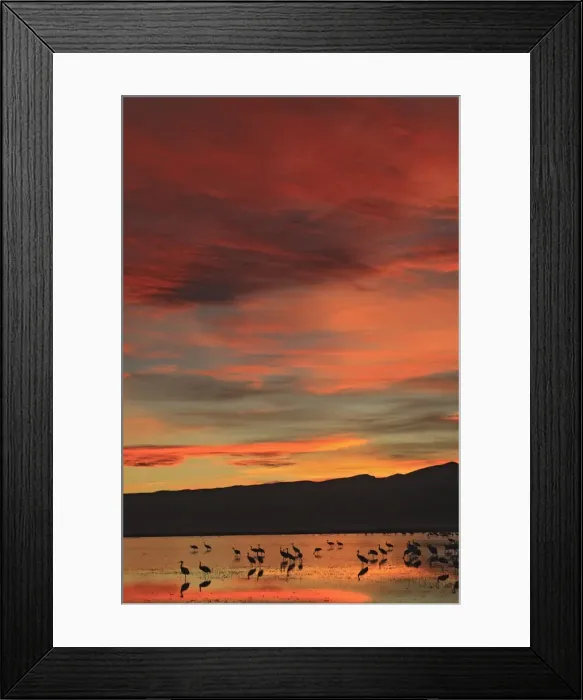 Framed Print : Picture No. 10888673