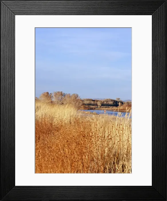 Framed Print : Picture No. 10888664 Framed Print : Picture No. 10888664