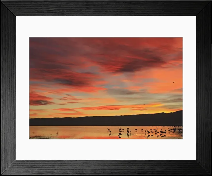 Framed Print : Picture No. 10888674 Framed Print : Picture No. 10888674