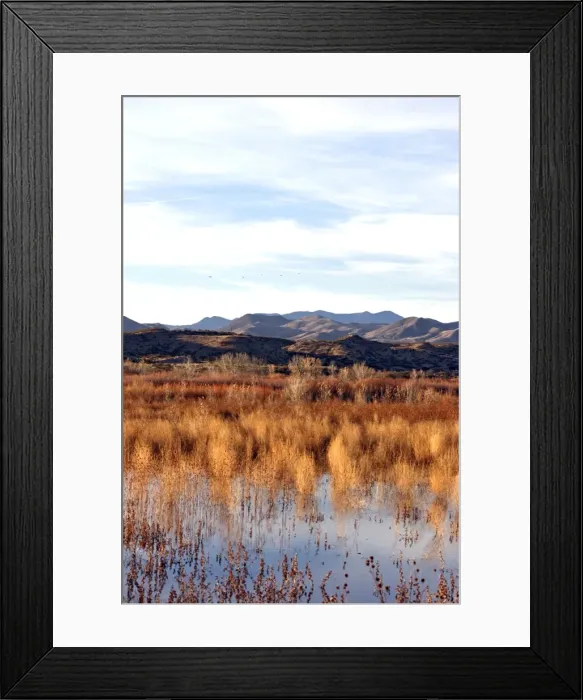 Framed Print : Picture No. 10888663 Framed Print : Picture No. 10888663