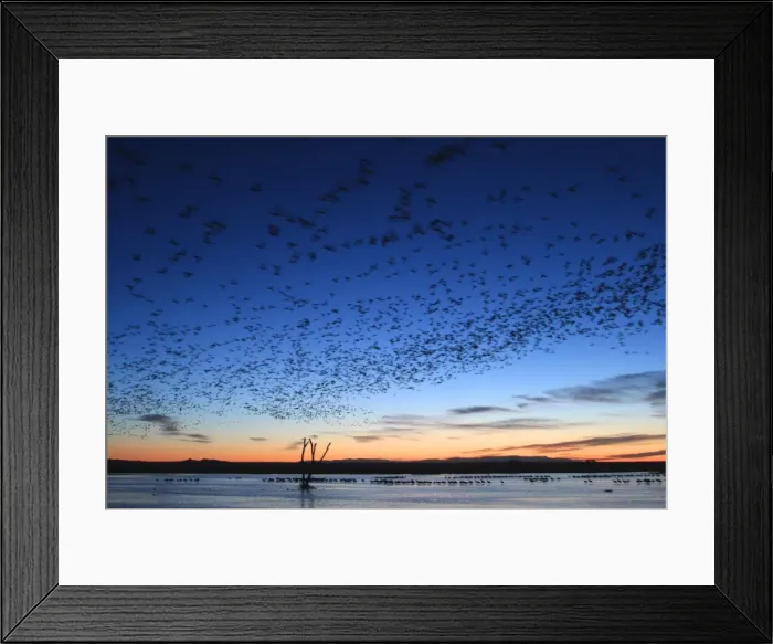 Framed Print : Picture No. 10888675 Framed Print : Picture No. 10888675