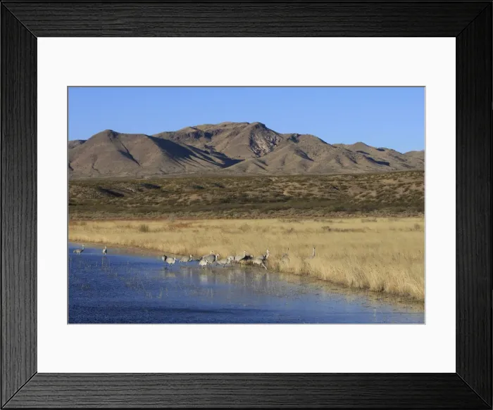 Framed Print : Picture No. 10888650 Framed Print : Picture No. 10888650