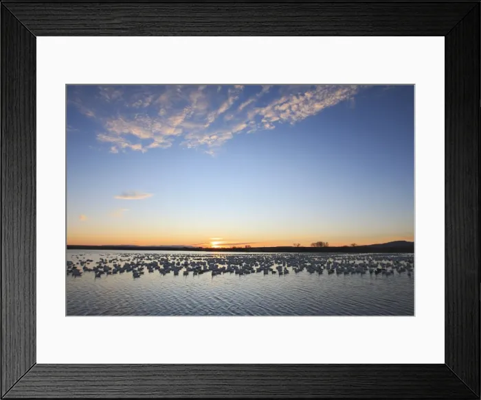 Framed Print : Picture No. 10888679 Framed Print : Picture No. 10888679