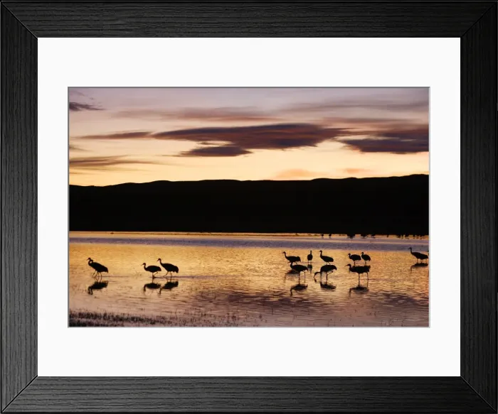 Framed Print : Picture No. 10888670 Framed Print : Picture No. 10888670