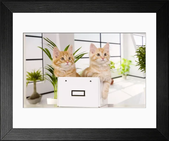 Framed Print : Picture No. 10888837 Framed Print : Picture No. 10888837