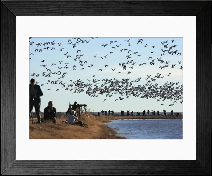 Framed Print : Picture No. 10888656 Framed Print : Picture No. 10888656