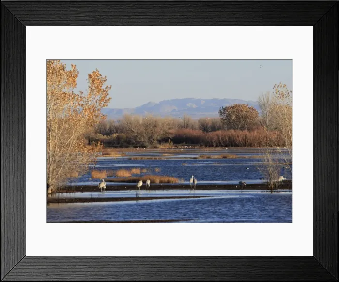 Framed Print : Picture No. 10888660 Framed Print : Picture No. 10888660