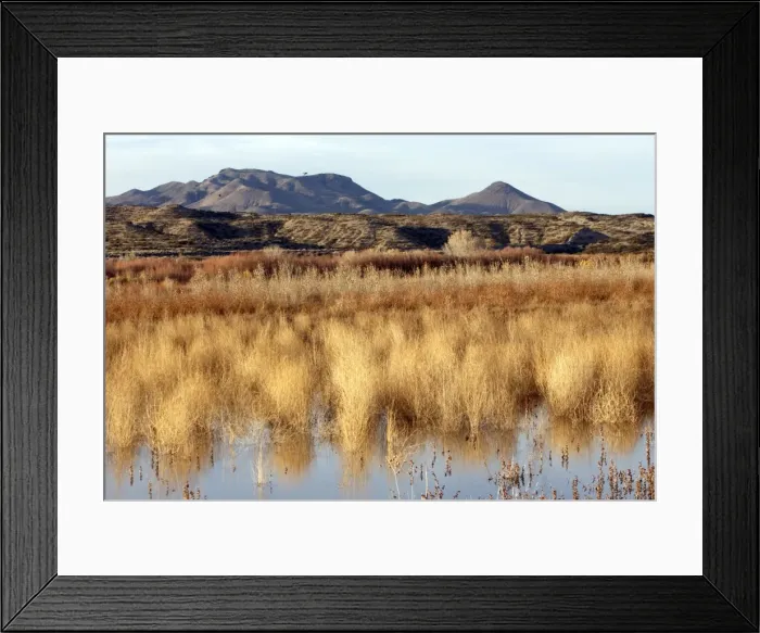 Framed Print : Picture No. 10888662