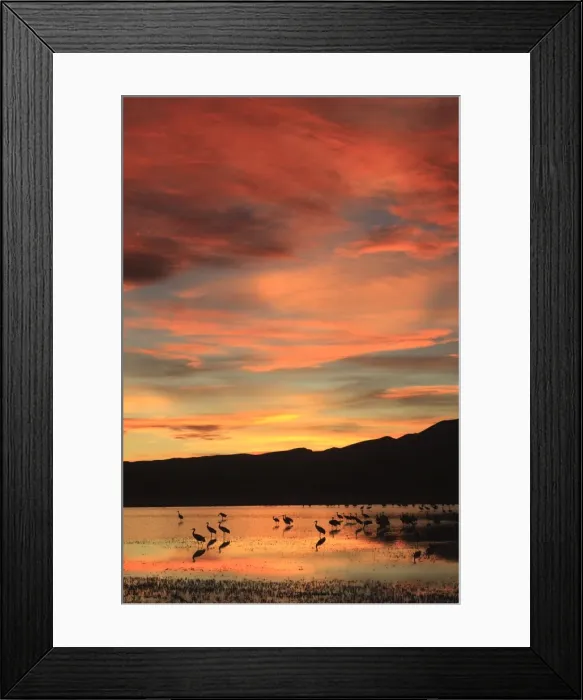 Framed Print : Picture No. 10888672 Framed Print : Picture No. 10888672