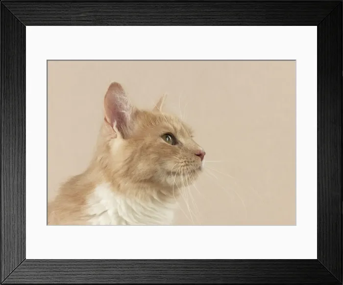 Framed Print : Picture No. 10888858