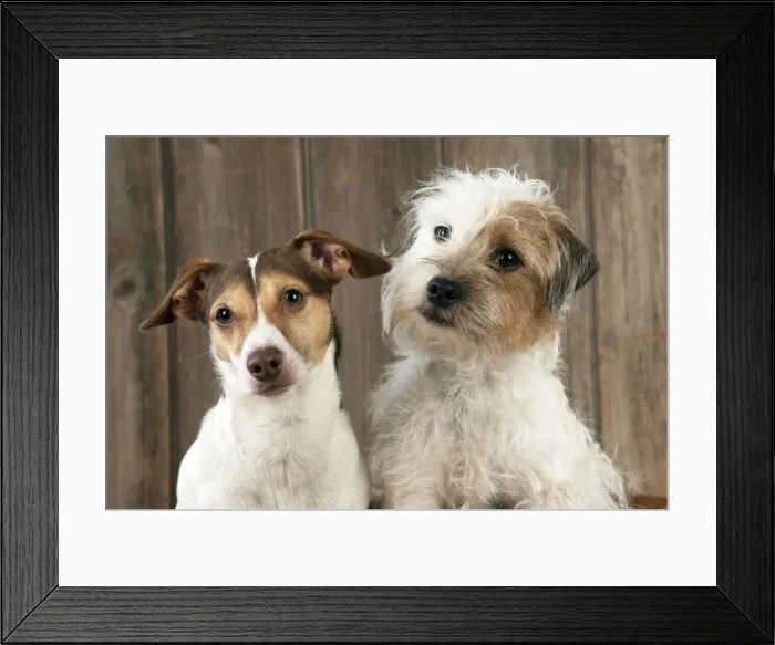 Framed Print : Picture No. 10888874 Framed Print : Picture No. 10888874