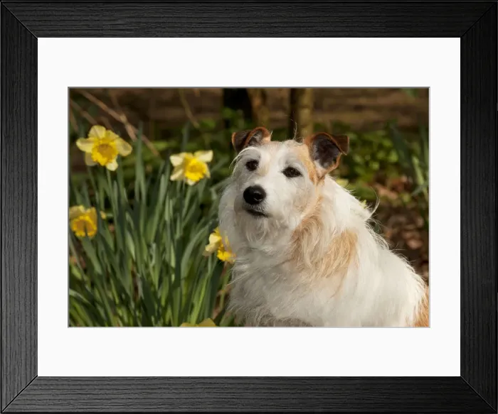 Framed Print : Picture No. 10888970 Framed Print : Picture No. 10888970