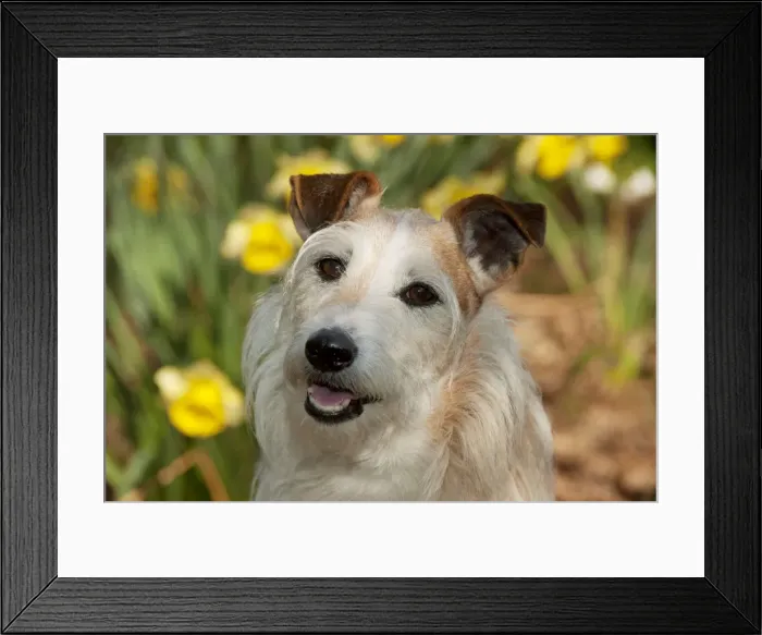 Framed Print : Picture No. 10888972 Framed Print : Picture No. 10888972