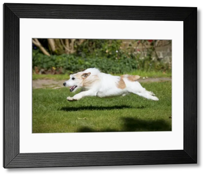 Framed Print : Picture No. 10888975