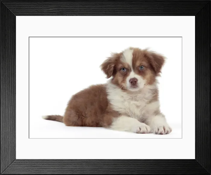 Framed Print : Picture No. 10888981 Framed Print : Picture No. 10888981