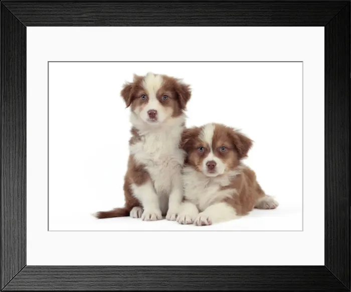 Framed Print : Picture No. 10888982 Framed Print : Picture No. 10888982
