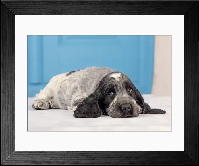 Framed Print : Picture No. 10889001