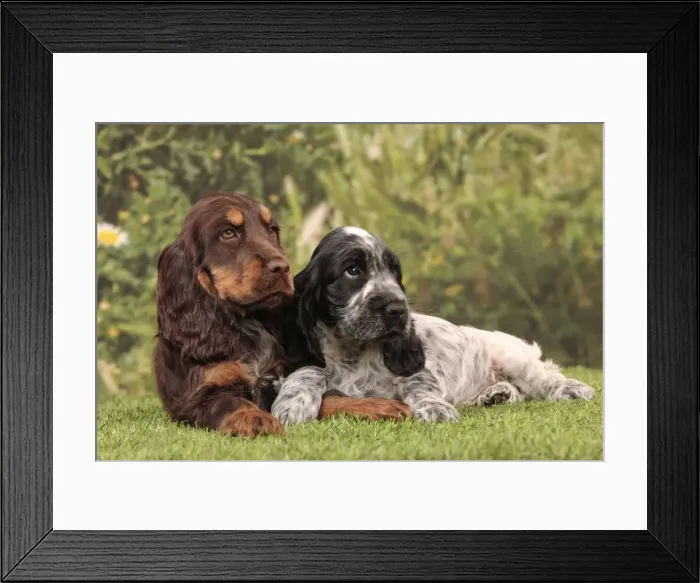 Framed Print : Picture No. 10889005 Framed Print : Picture No. 10889005