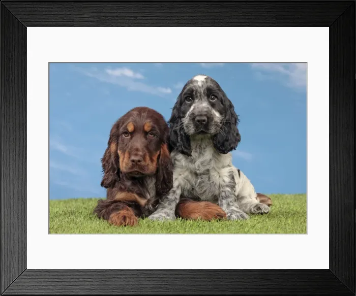 Framed Print : Picture No. 10889004 Framed Print : Picture No. 10889004