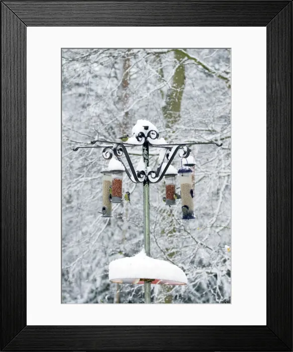 Framed Print : Picture No. 10889027 Framed Print : Picture No. 10889027