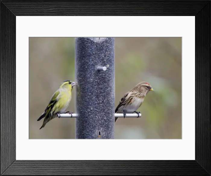 Framed Print : Picture No. 10889031 Framed Print : Picture No. 10889031
